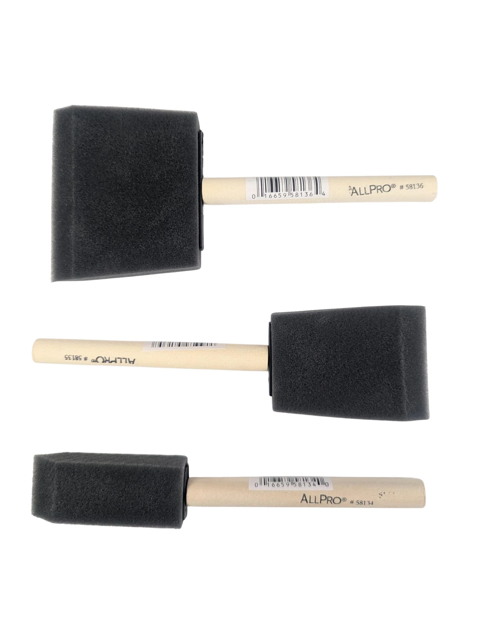 Foam Brush (3 sizes)
